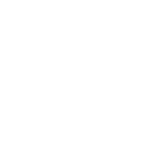 비비고