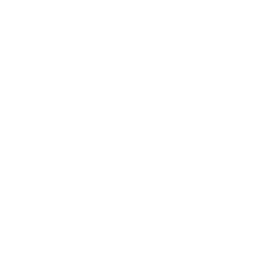 한뿌리