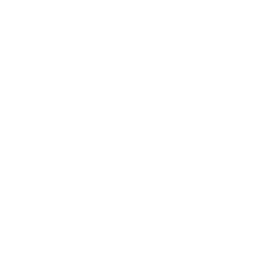 하선정